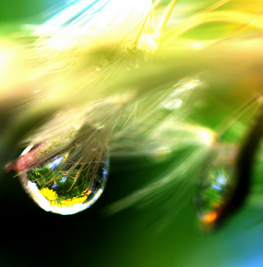 Enhanced spatial resolution during&nbsp;locomotion