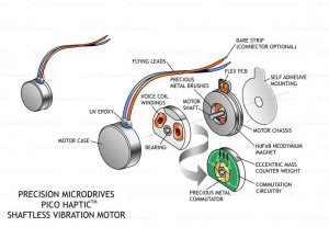 coin-shaftless-vibration-motor-exploded-view-original