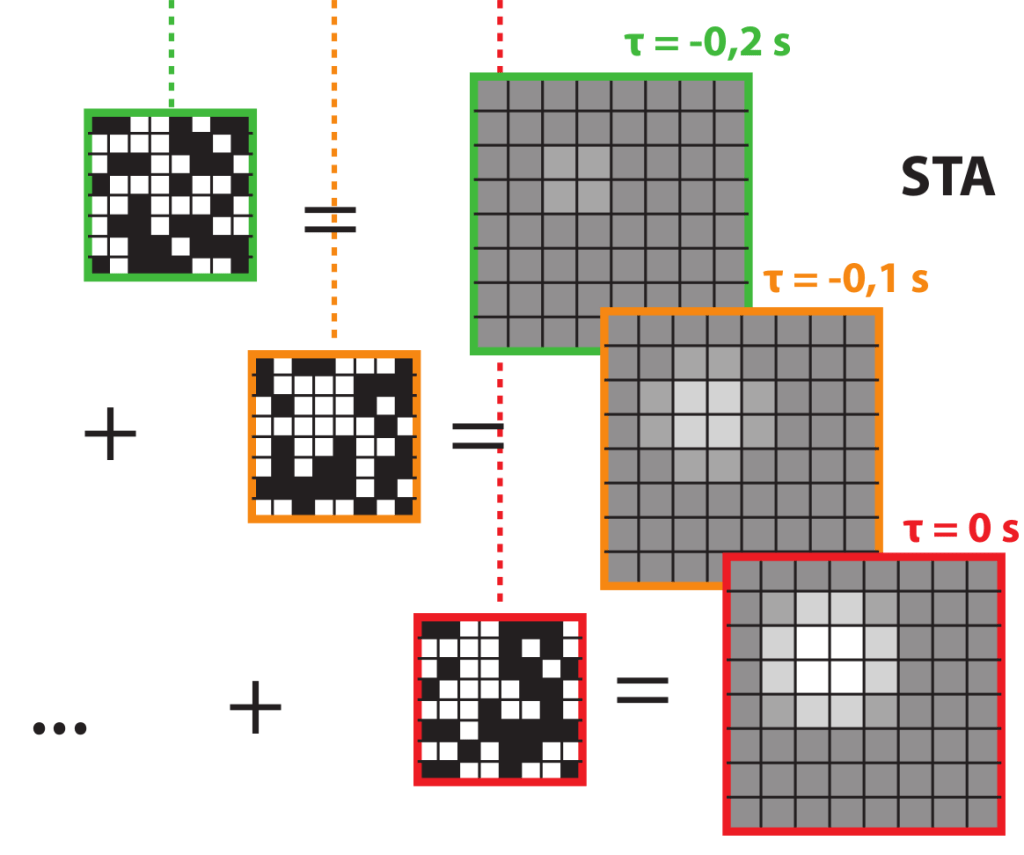 Reverse correlation: linearizing black-box&nbsp;functions