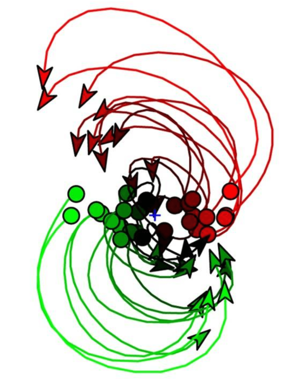 Dimensionality reduction in neural data&nbsp;analysis